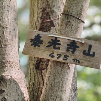 階段たくさん登った先の山頂😓