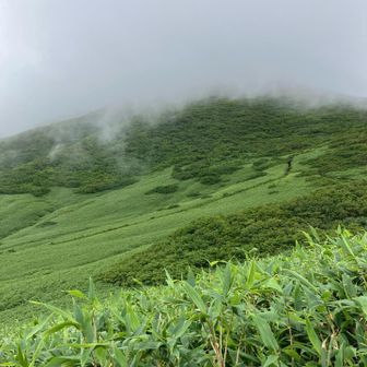 少しガスが晴れるも、山頂は見えないな…