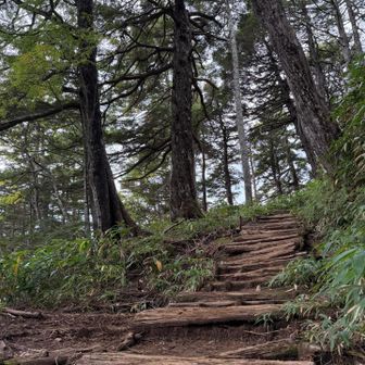雨が多かったから水が溜まってるところあり
ドロドロ、ぬるぬる
滑りそうで気を使いました
