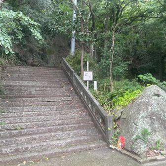 登山口
序盤は階段