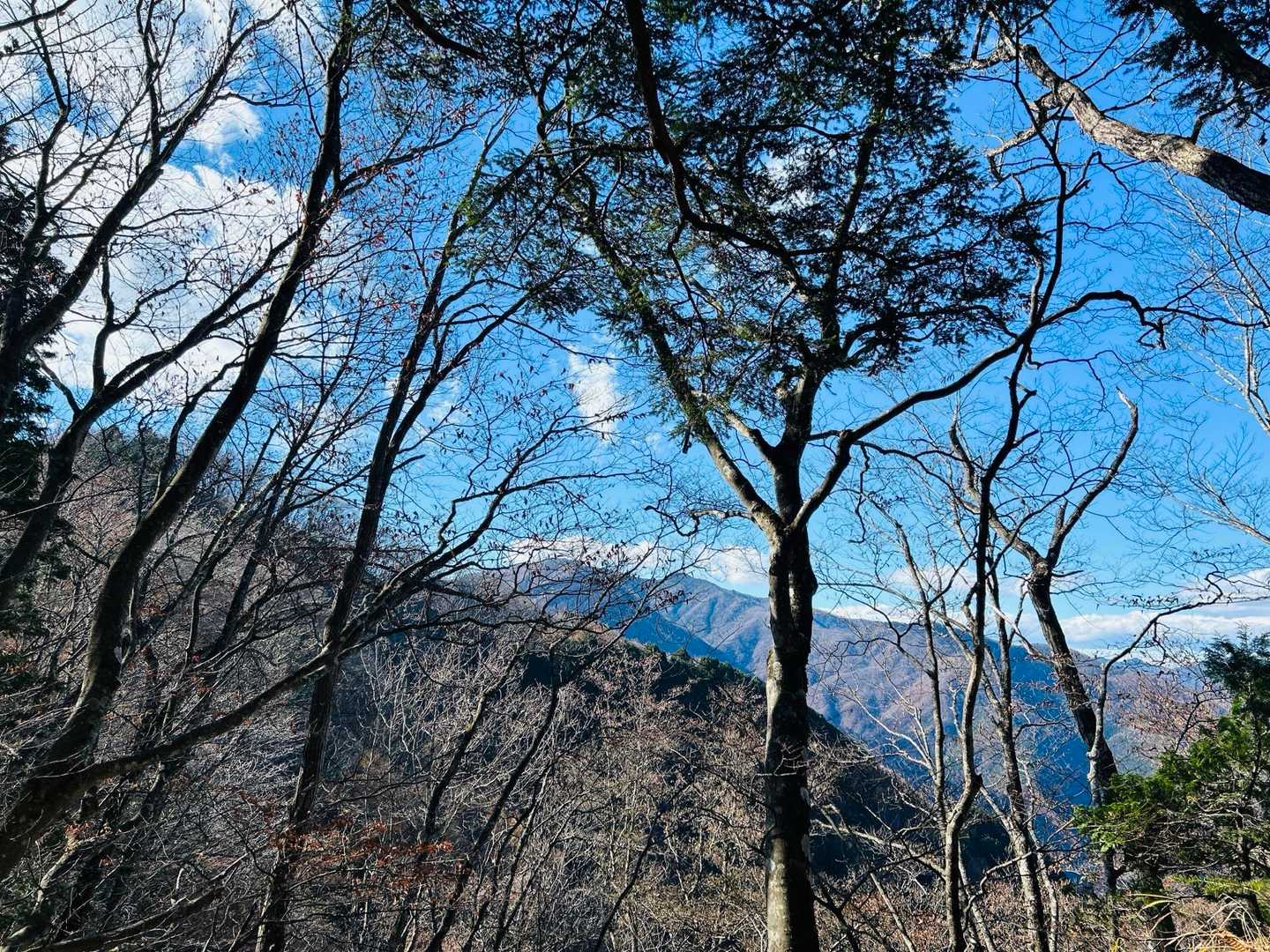 甲武信岳方面⛰️