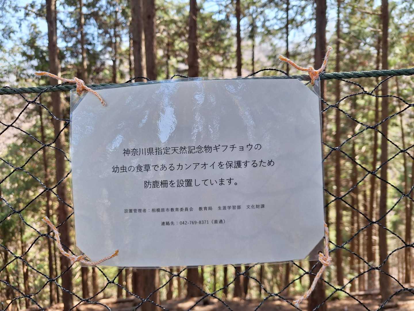篠原バス停-石砂山 往復コースの写真