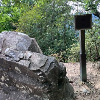 カエル岩