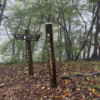 頂上はちょっと地味