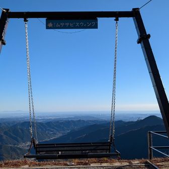 ムササビスウィング面白そうですね😎