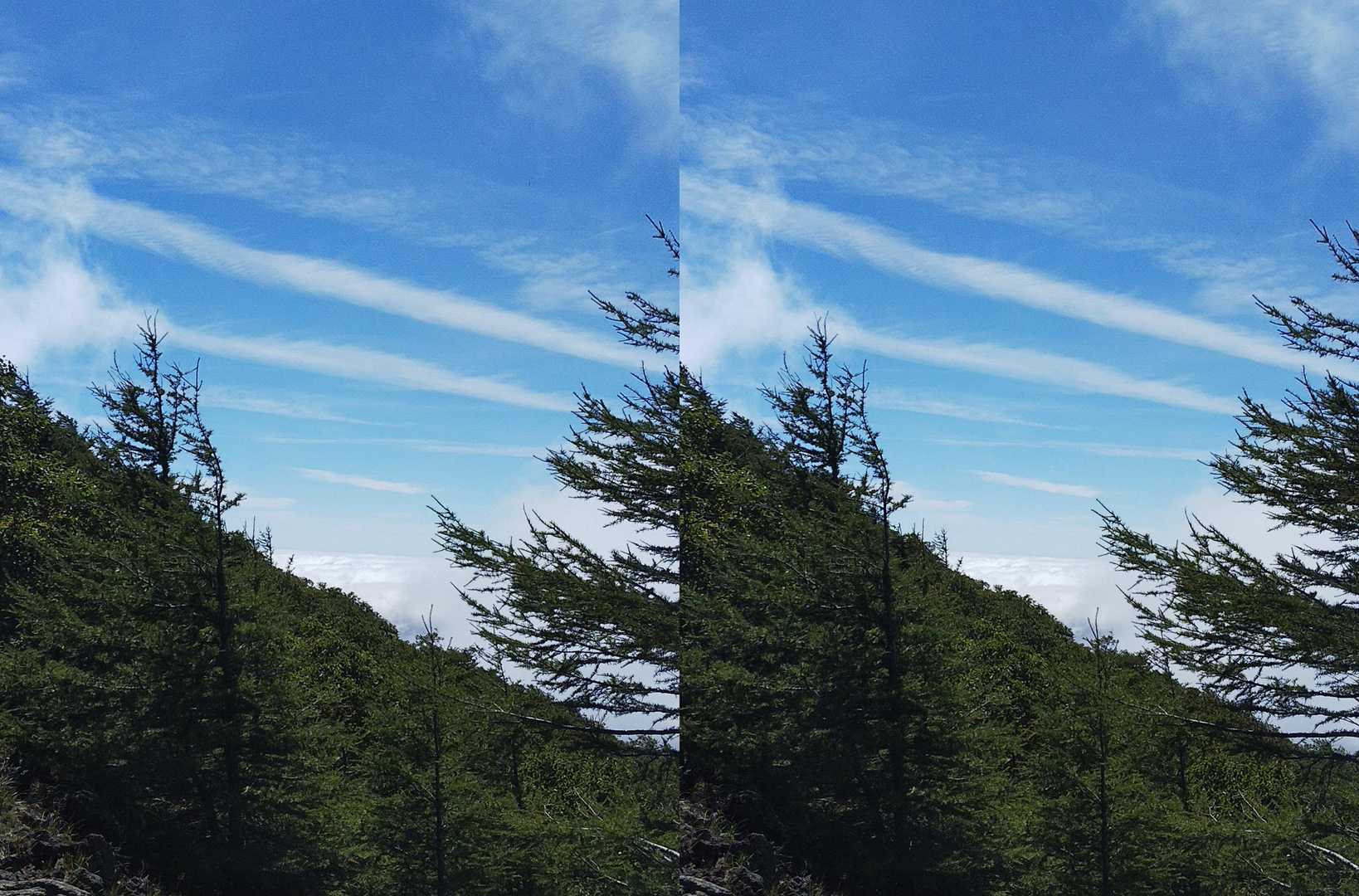 日光方面の雲海
