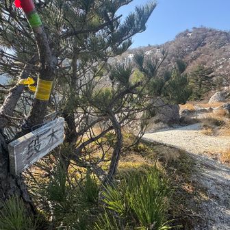 でもあっという間に段木　これは早い！
トレースの方はピストンしてるけど
下山は怖いな
雪が積もる前に歩いておいてよかった