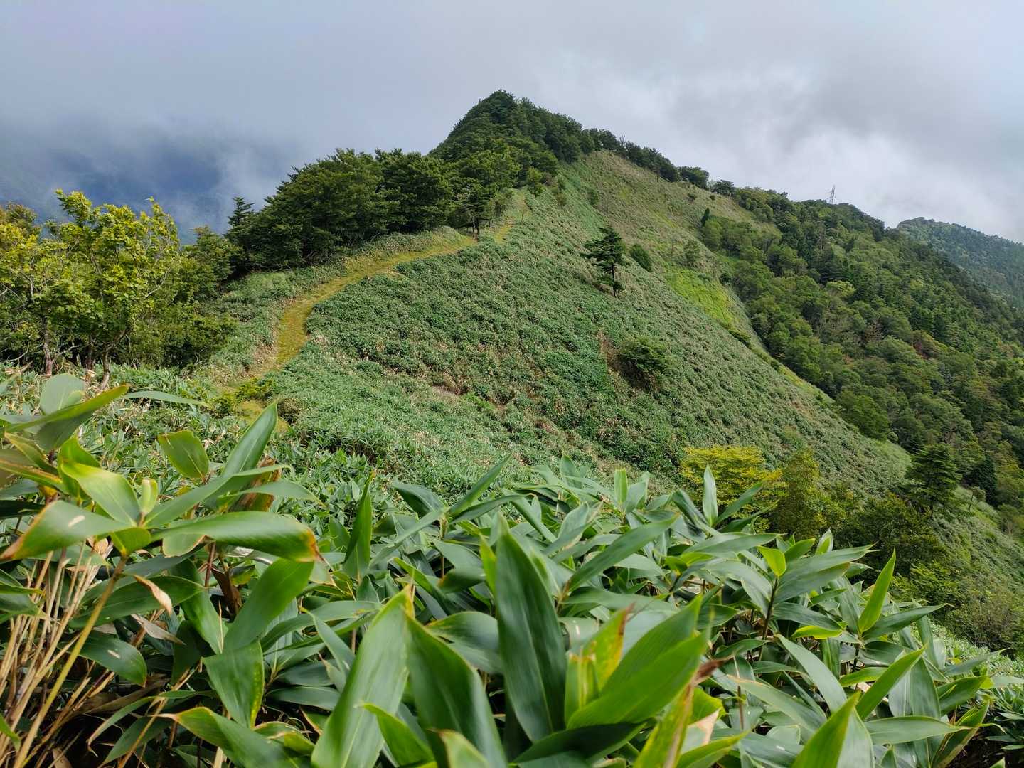平家平 往復コースの写真
