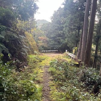 もうすぐゴールです