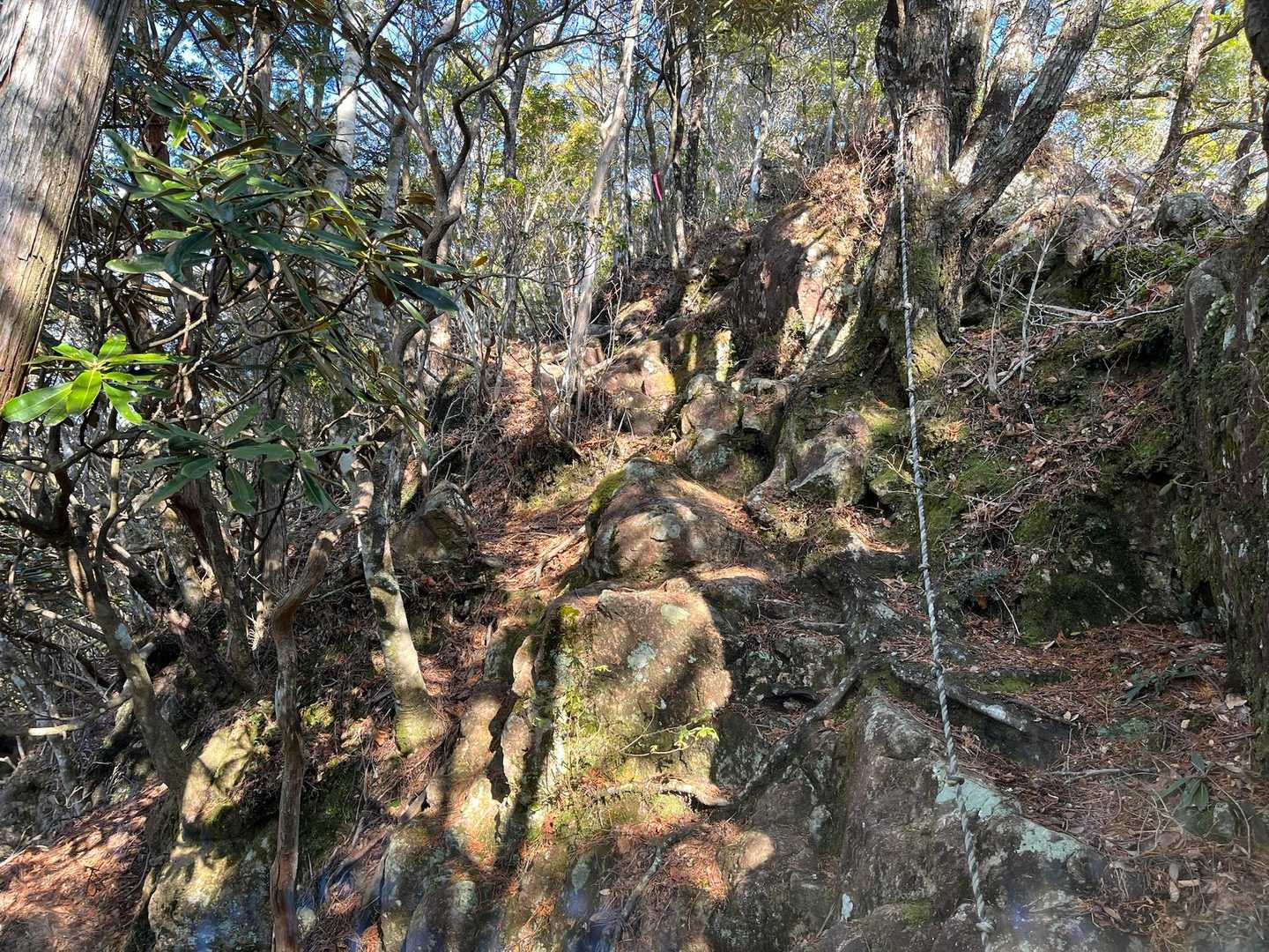 山頂手前の鎖場⛓️