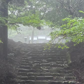 中宮
