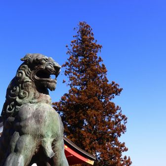 御嶽神社の立派な狛犬。