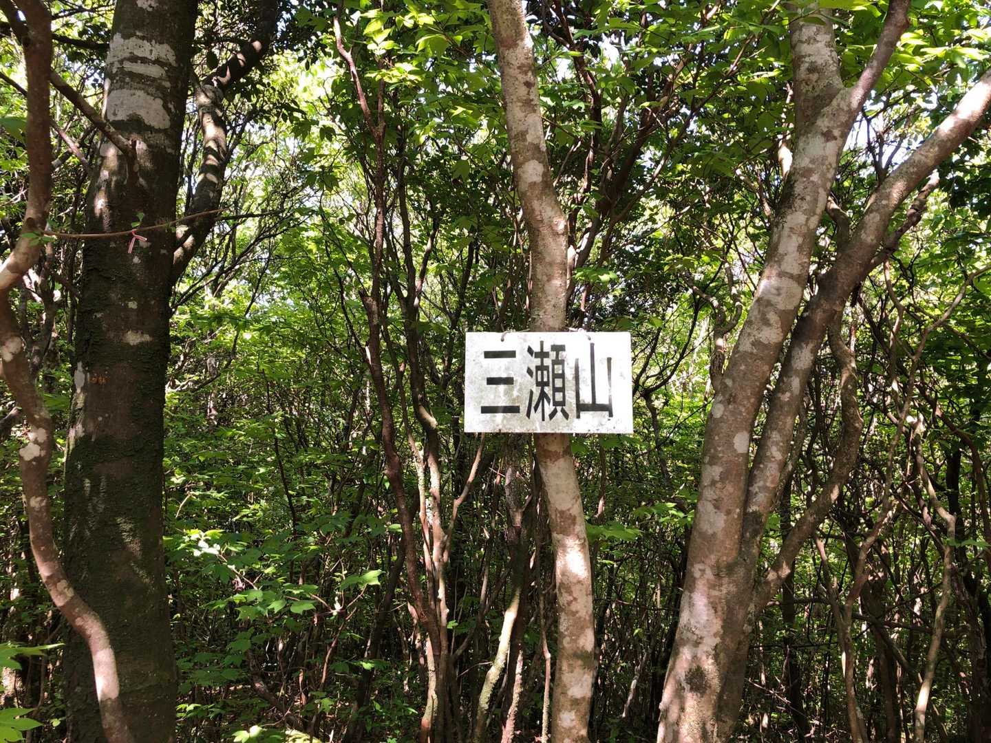 まず一つ目のピーク