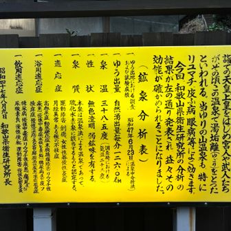 効能こんなん。ポリ缶欲しかったやー。