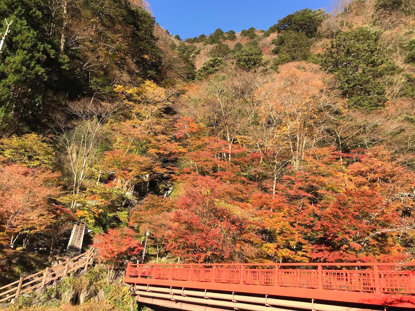 青空に映える。