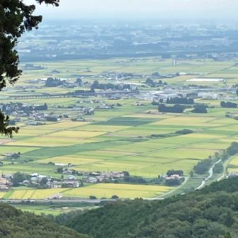 長雨の影響か？
例年であれば、稲刈り後が見える