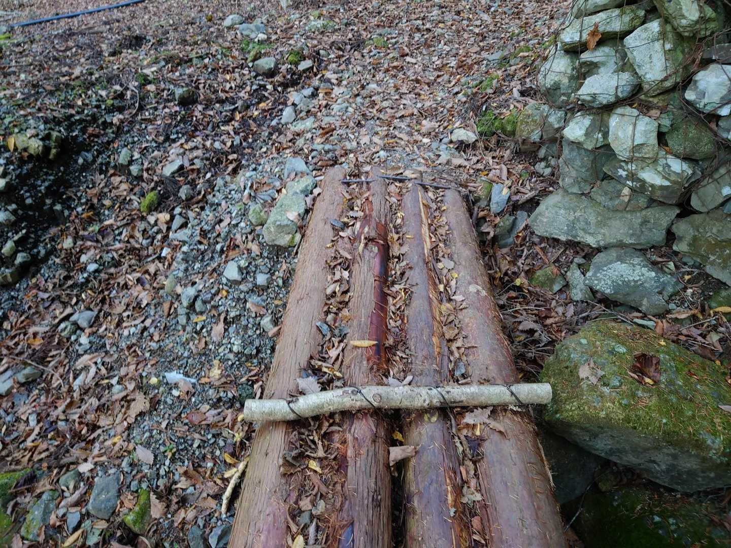 登山道に突入。
最初、ヤマップのルートを迂回するような感じで歩くのでルートからずれてしまいこれでいいのかなと心配になりました。
でも大丈夫です。