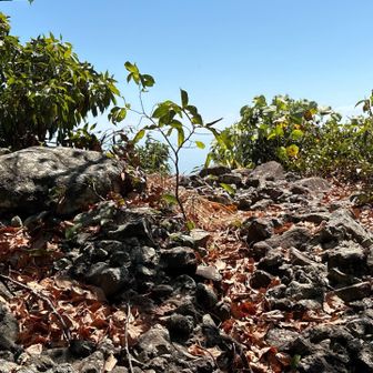 と言いつつ、山頂付近でルートを見失いウロウロ… こちらの岩場が大嶽の山頂の模様。