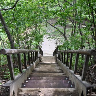 登山口階段まで無事戻ってきました