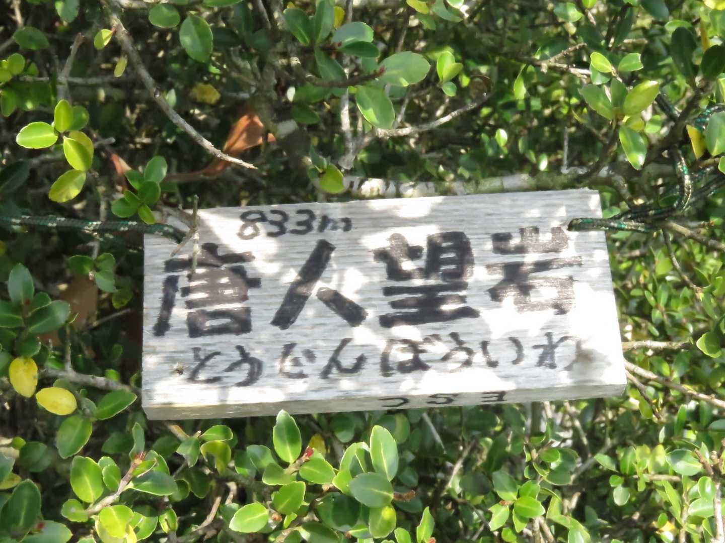 前から標識あったかなぁ？