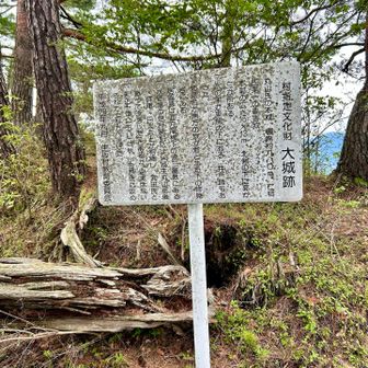 山頂標は無いけど、生坂村指定文化財の大城跡の説明書