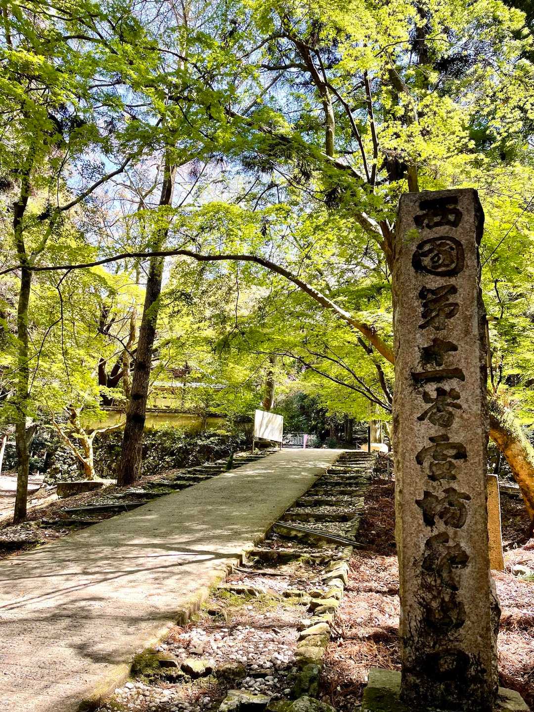 🍃✨上醍醐登山道入口✨🍃