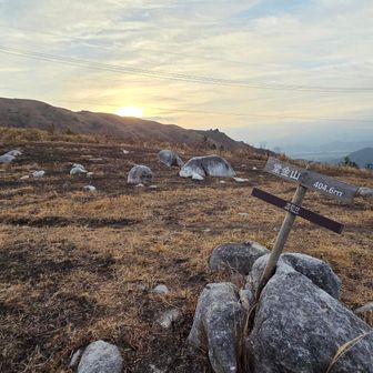 頂上が平らな石灰岩が草原に点在する風景が、まるで羊の群れが遊んでいるように見えることから｢羊群原｣と名付けられたみたいです🤔