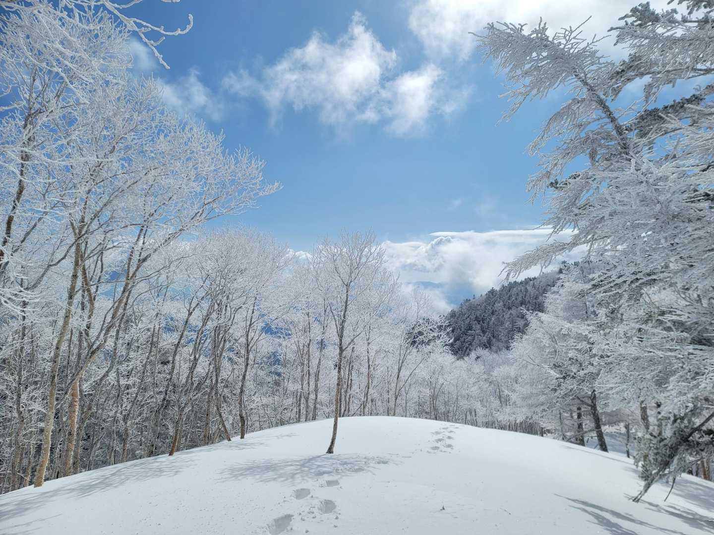 経ヶ岳（仲仙寺）の写真