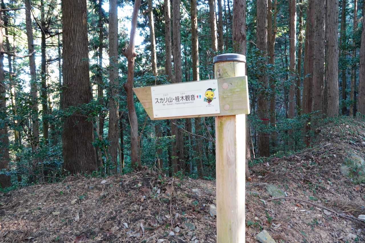 ここからスカリ山に向かいます。