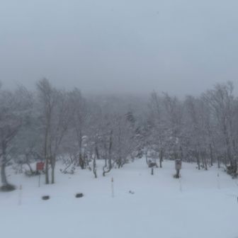 小田越に帰還
登山道を滑ると、バンクドスラロームみたいです