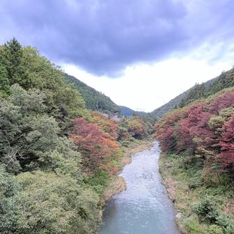 遠目だとほんの少し色づいてきてる