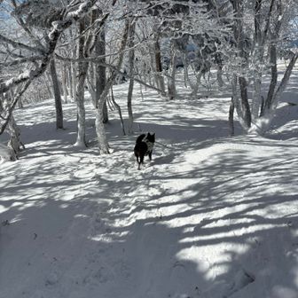 もう帰るの？はやいね。