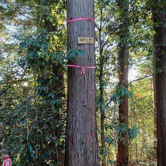 高ドッケ。ドッケってなんだろう？