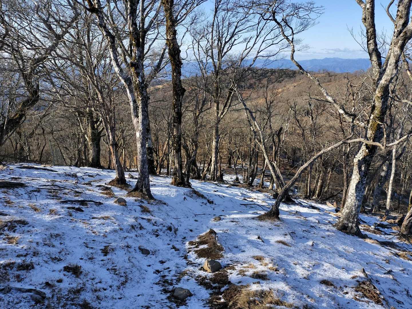 暗くなる前に下山開始🚶‍♀️