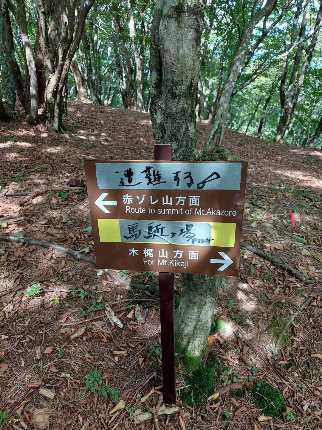 気を付けて！