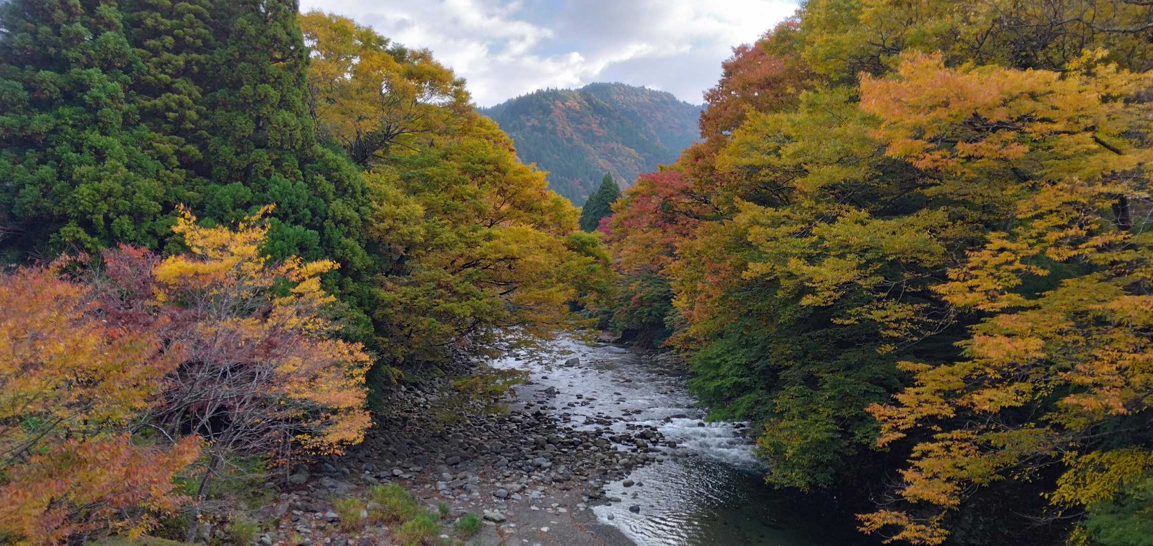 日本コバ-衣掛山 周回コースの写真
