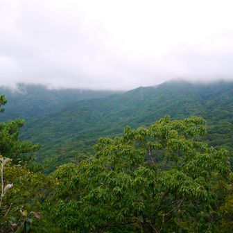 つぼろ台から歩いてきた加波山方面を望む。