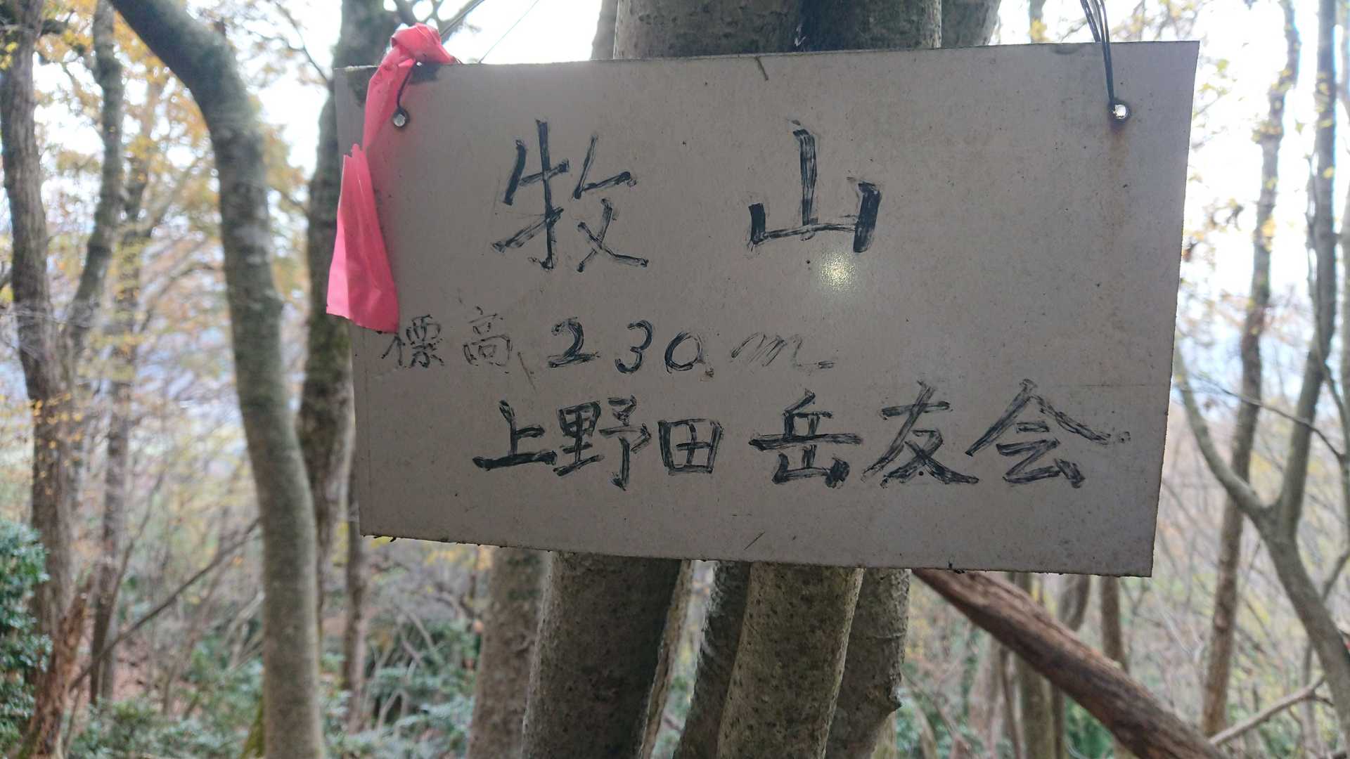 牧山（福井県越前市）の写真