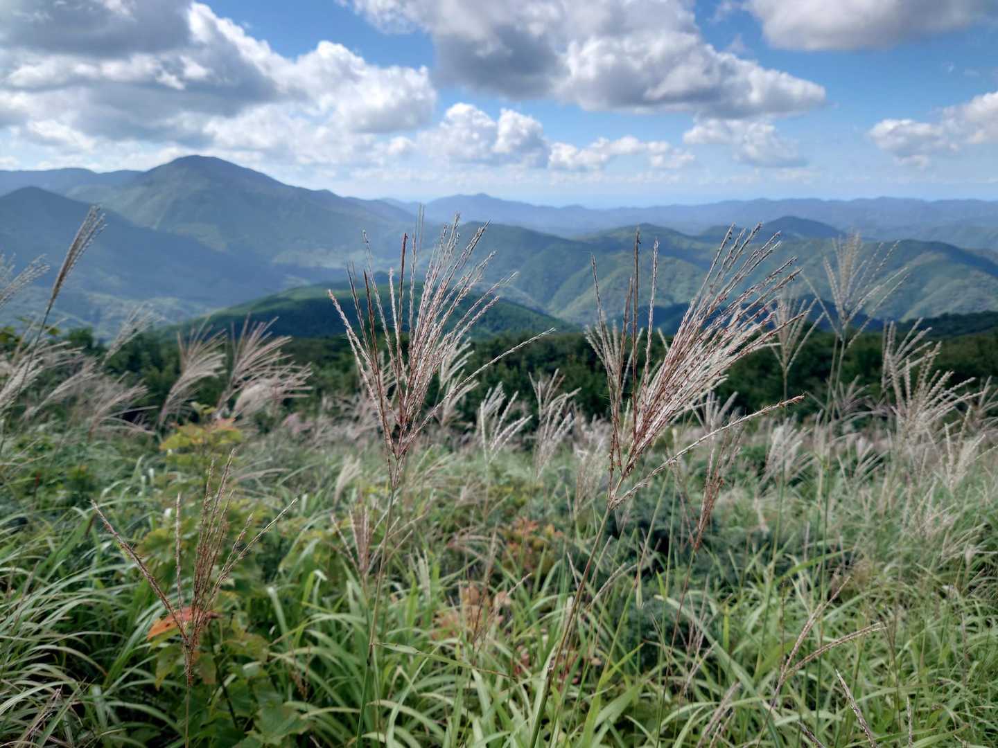吾妻山-烏帽子山-比婆山 往復コースの写真