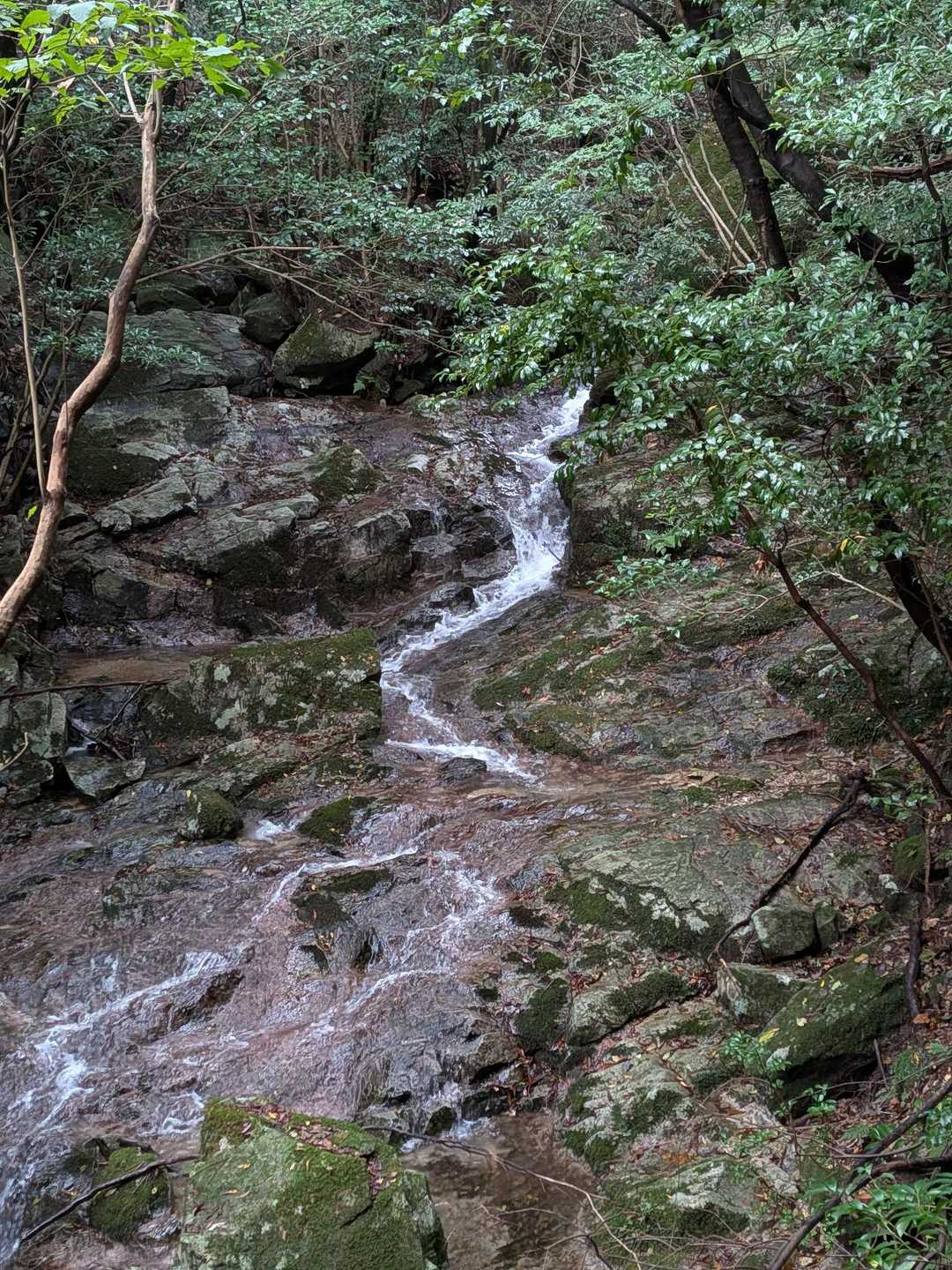 水が豊か