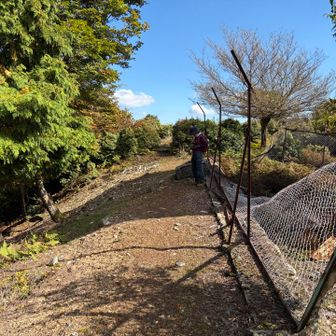 ばいばい👋