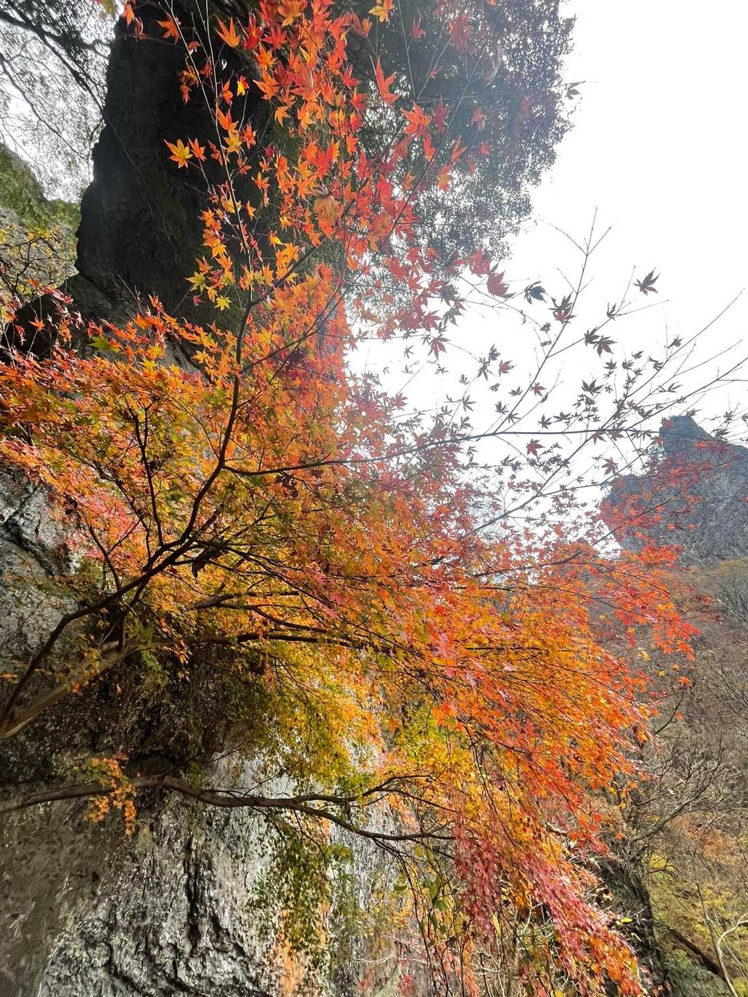 中之岳 往復コースの写真