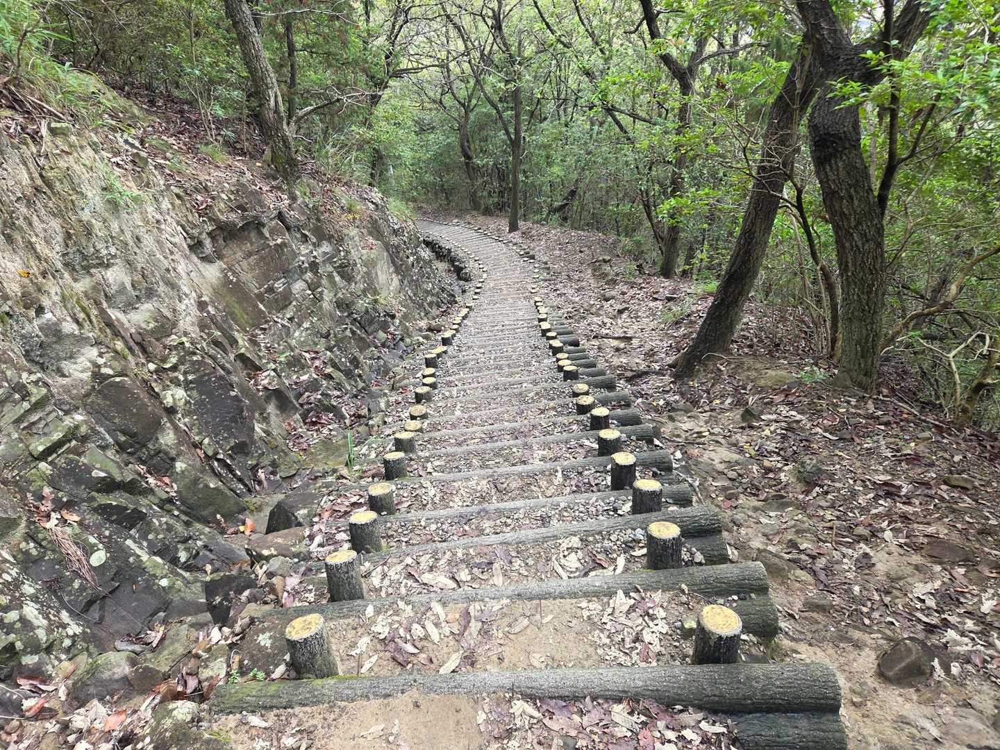 階段のトレーニング💦
