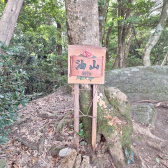 油山の山頂に到着❗