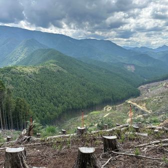 眺望の良い所に出ました

右奥にはトンガリ高見山が見えます