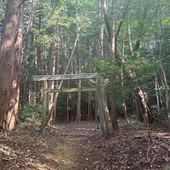 金比羅さんの鳥居⛩️