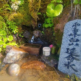 延命水