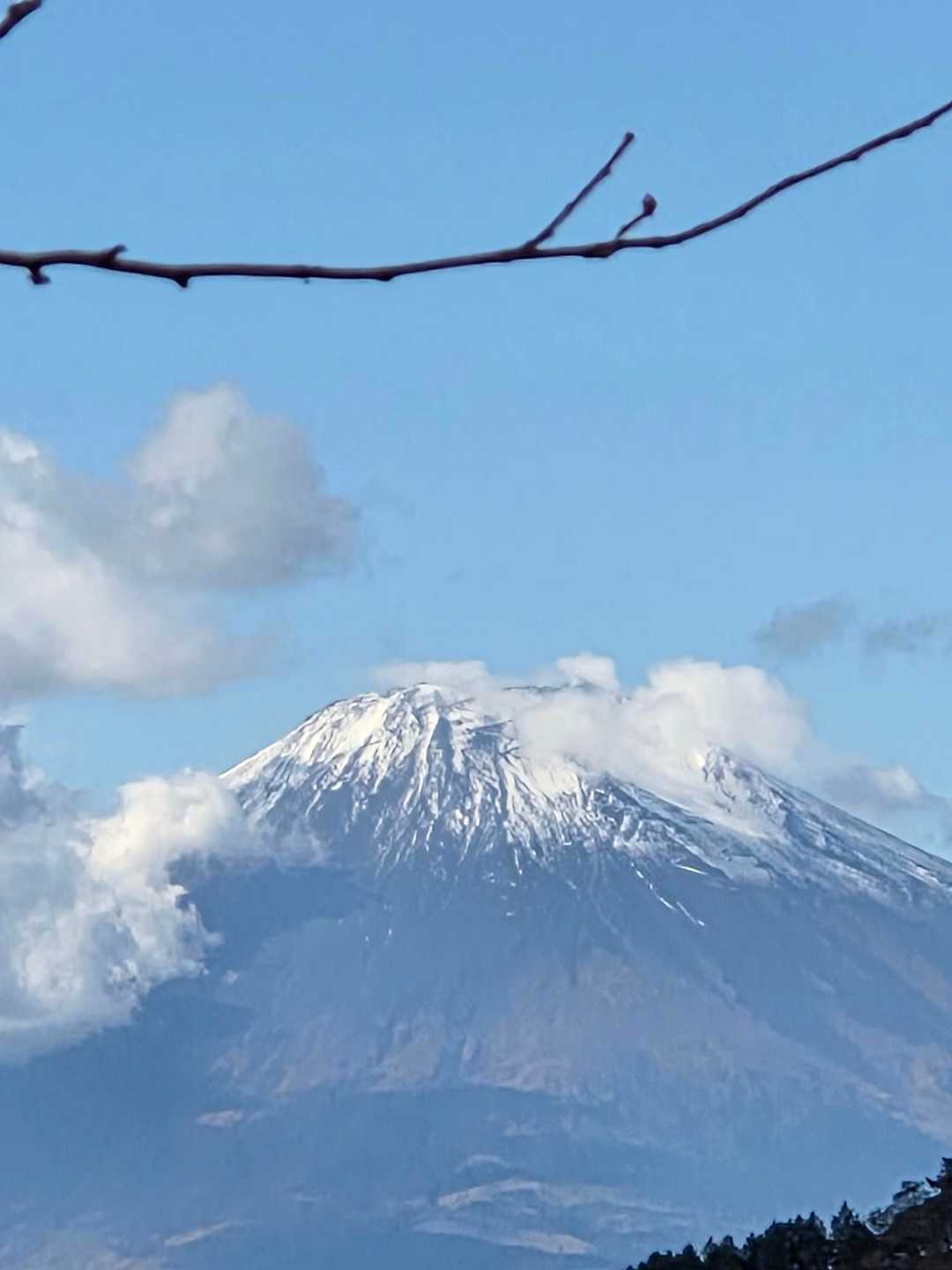 ヤビツ峠-三ノ塔-烏尾山-行者ヶ岳-木ノ又大日-塔ノ岳-日 縦走コースの写真