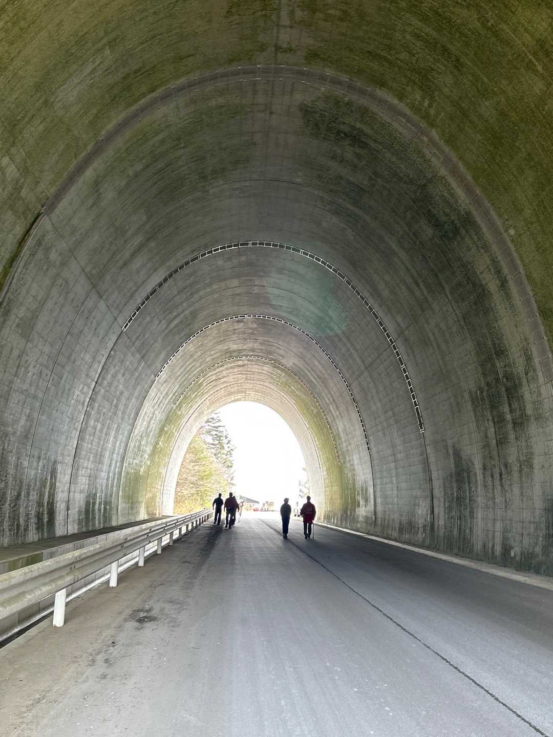 勝賀岩登り口-宗賀岩 往復コースの写真