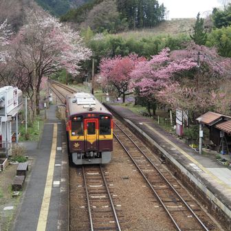 ばいばーい👋
行っちゃったので、次はさっきのが折り返してくる１時間後です